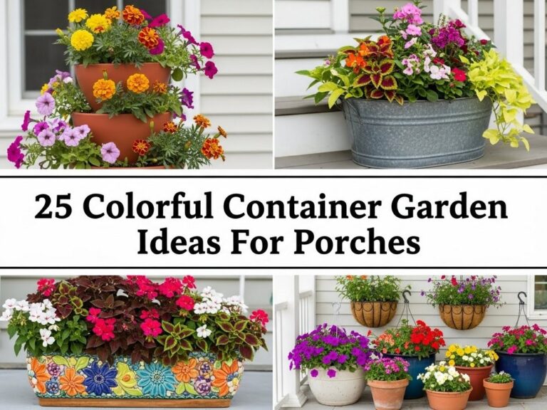 25 Colorful Container Garden Ideas For Porches