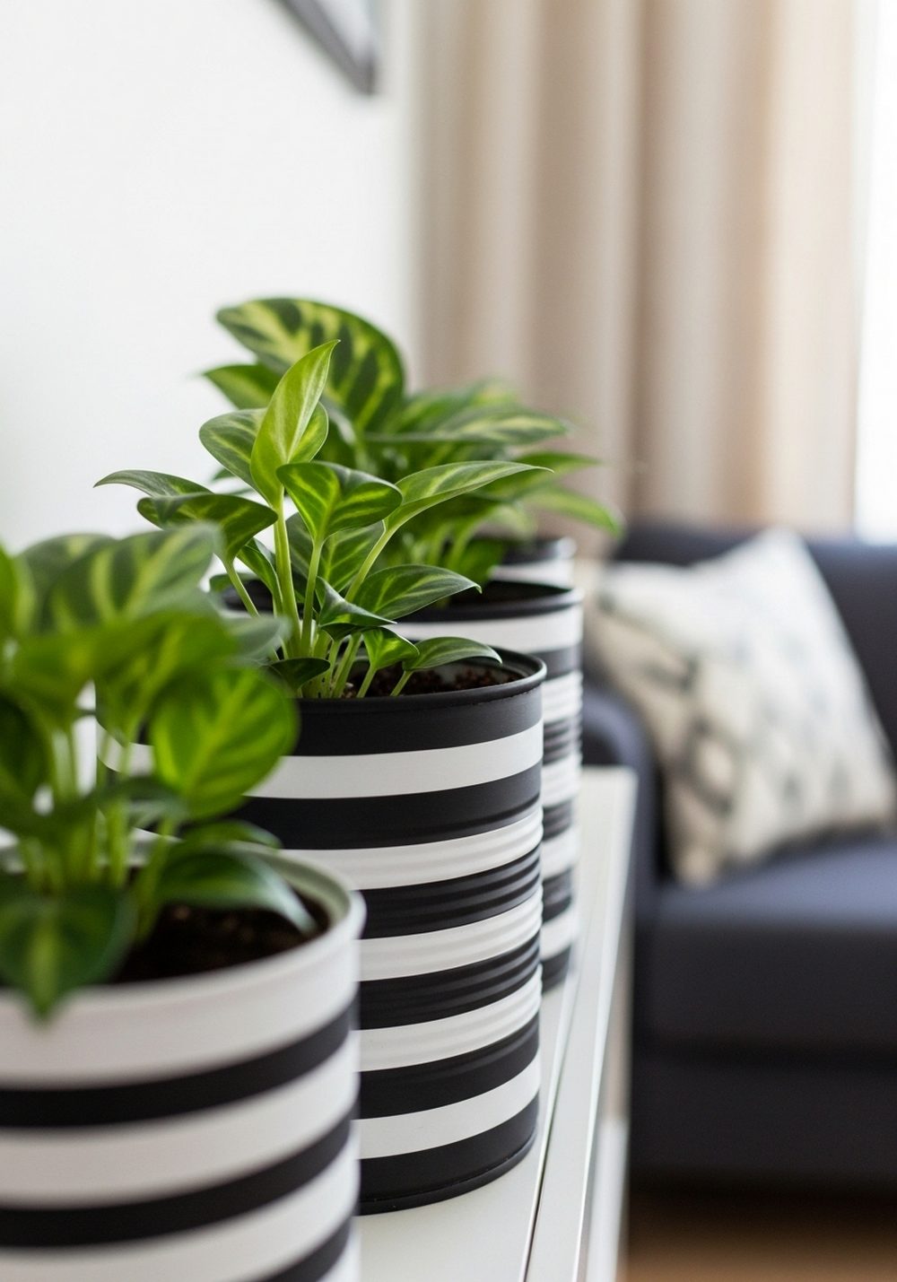 Black-And-White Striped Tin Cans For Modern Small Spaces