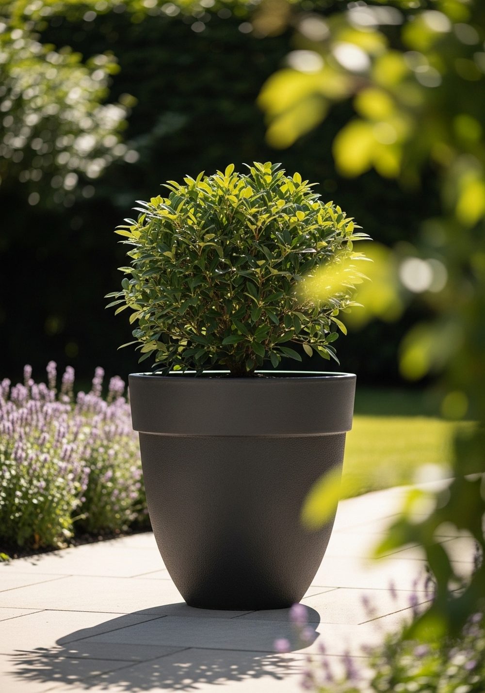Oversized Single Accent Planter