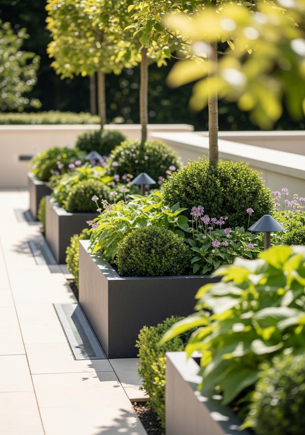 Slim Rectangular Planters For Pathways